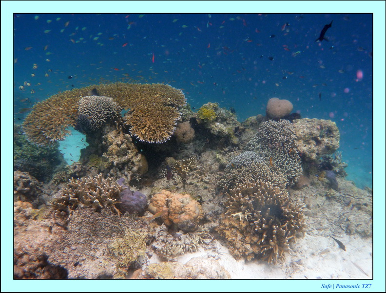 2009   07   Matakin 38